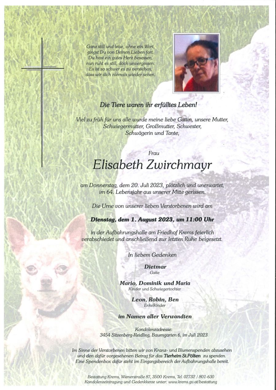 Bild